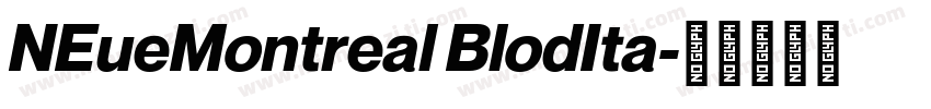 NEueMontreal BlodIta字体转换